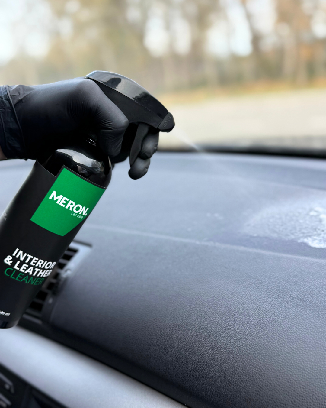 Interior &amp; Leather Cleaner